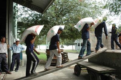 Cho thuê công nhân bóc xếp tại Huyện Cần Giờ